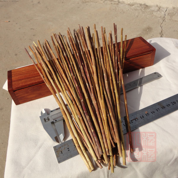 蓍草占筮的原理