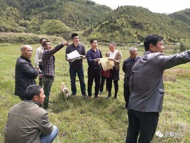 宁都县会同乡谢家坊村胡岭面小组村民丁科生反映,该村村委会主任