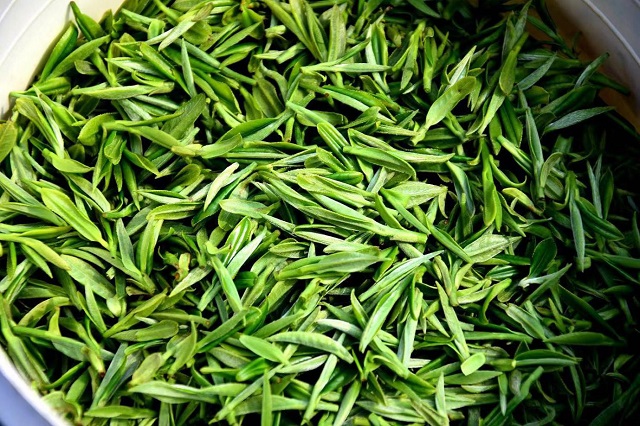 长沙绿茶杯首届湖南茶祖神农杯斗茶大赛品牌巡礼之绿茶篇