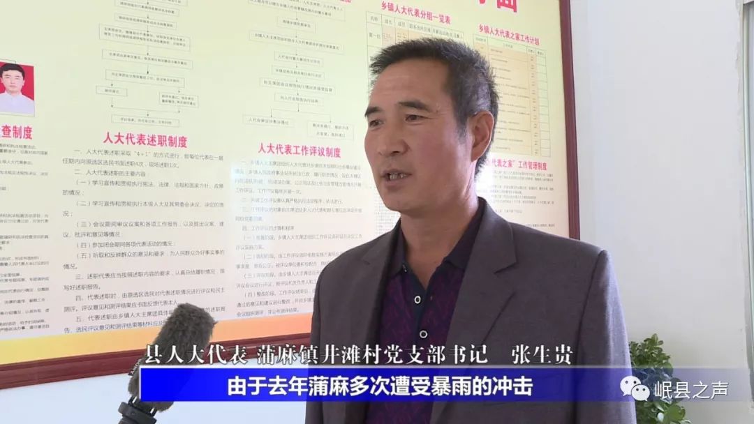 岷县蒲麻镇井滩村书记,县人大代表张生贵:由于去年蒲麻镇遭受暴雨冲击