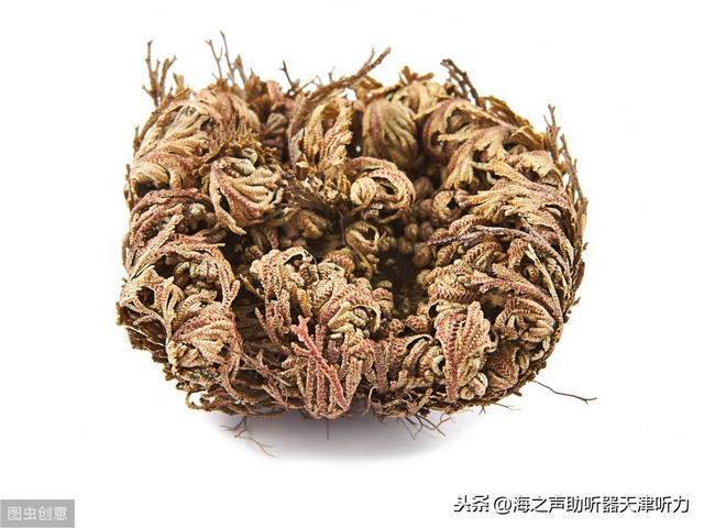 复活草学名卷柏,又名万年青,长生草,万岁草,打不死