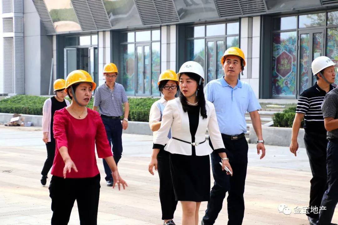 顺义区副区长李向英到金宝天阶进行调研