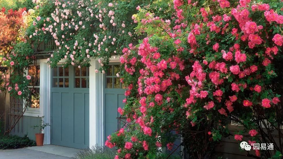庭院2019庭院流行元素