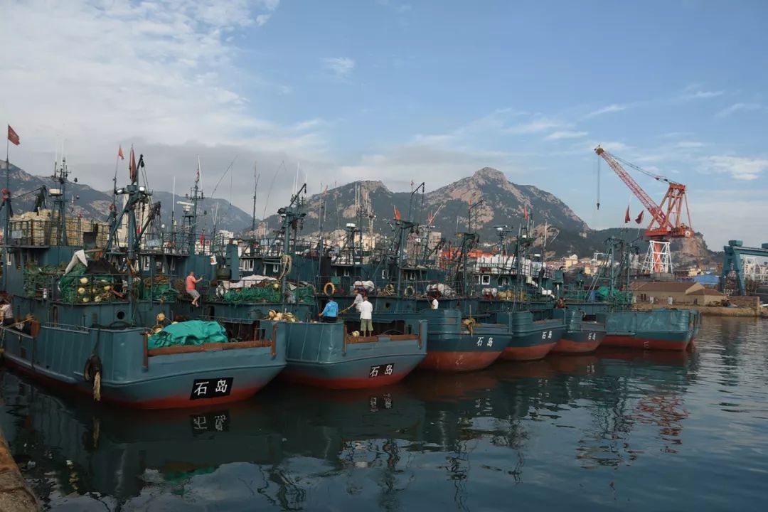 荣成,石岛开海"第一网"来啦~~_渔船