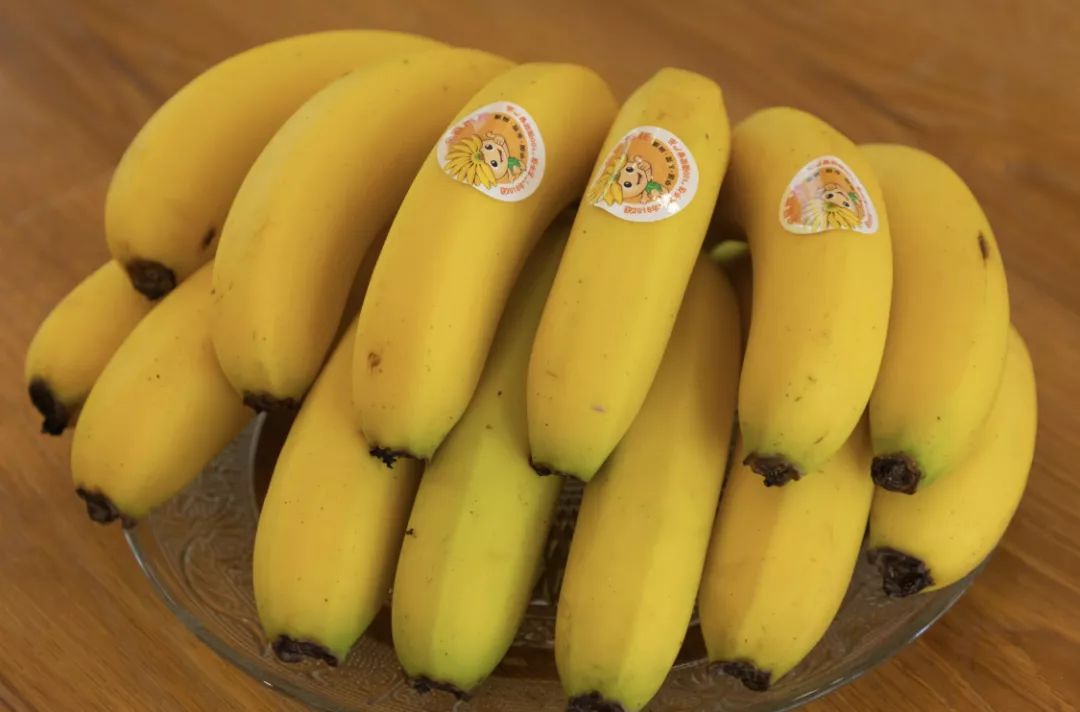 东莞麻涌香蕉图片