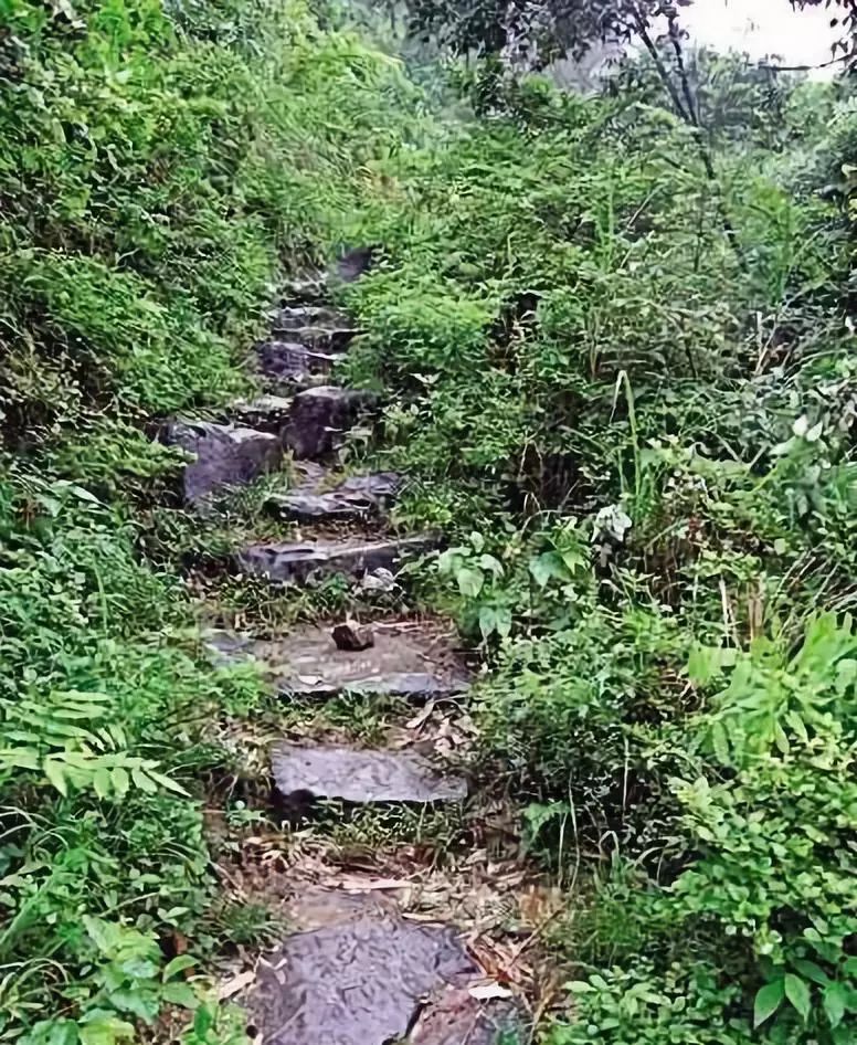 拥有广东屋脊之称的它沿途风景深壑幽谷犹如风景画廊