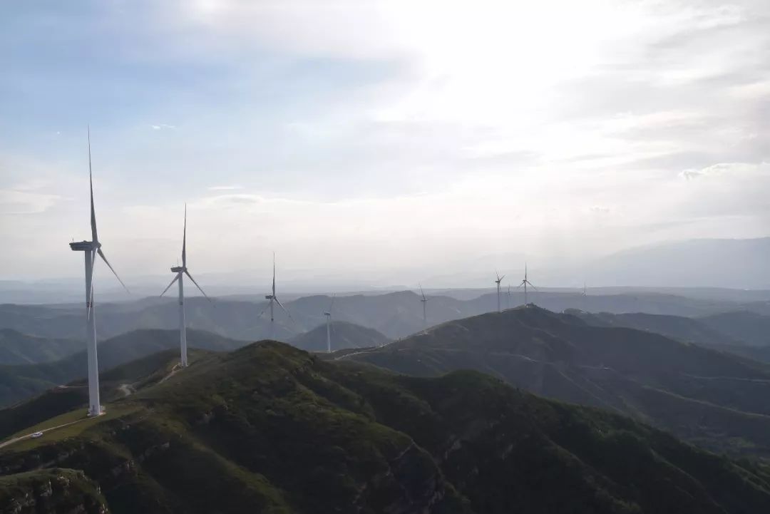 灵宝人:你去大青山玩的时候丢垃圾了吗?