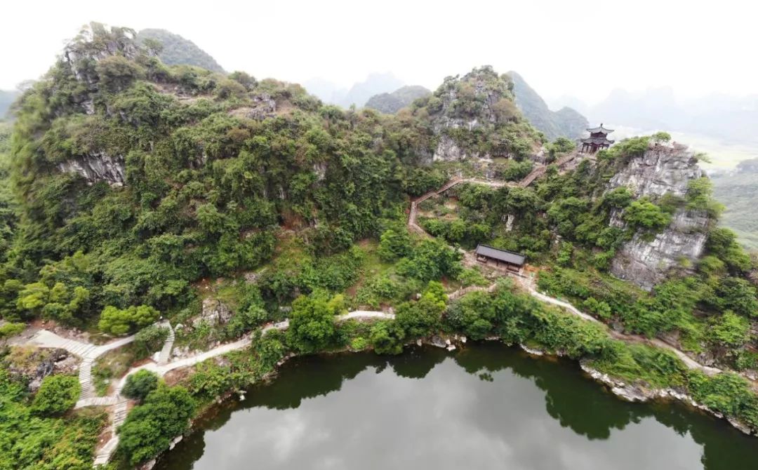 99元丨甜蜜柚惑别具酱新品土菜美食好吃柚好玩武宣东乡第四届风沿蜜柚