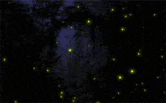 240_150gif 动态图 动图