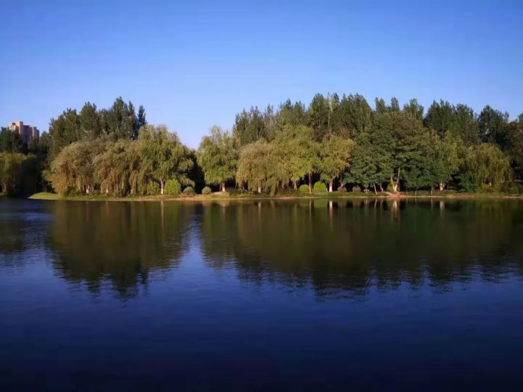 新河大变得更美了原来是因为这个