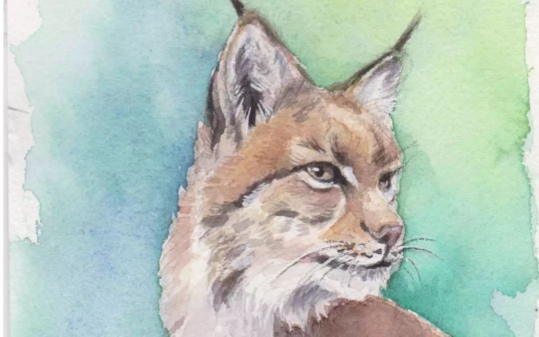 双翅目:猞猁学派 | 科幻小说