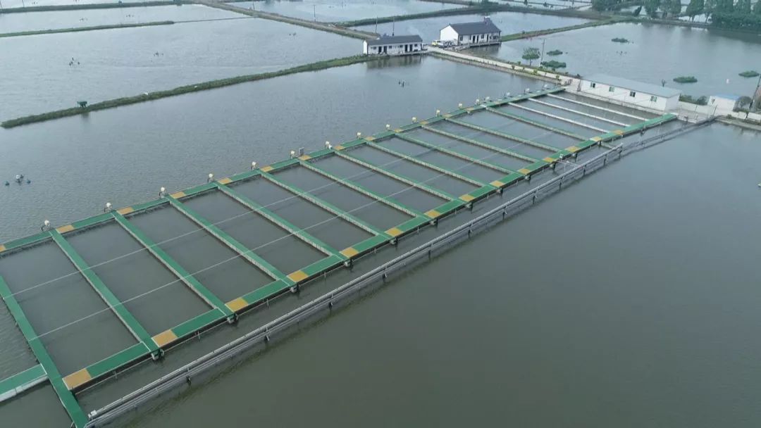 跟着央视来看南浔"跑道养鱼"!_养殖