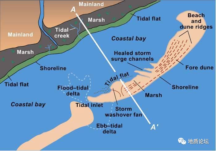障壁型海岸沉积体系的相带划分潮坪(tidal flat, cape cod)泻湖(kara