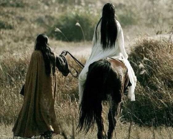 绝情谷待了十六年小龙女为何青春如初