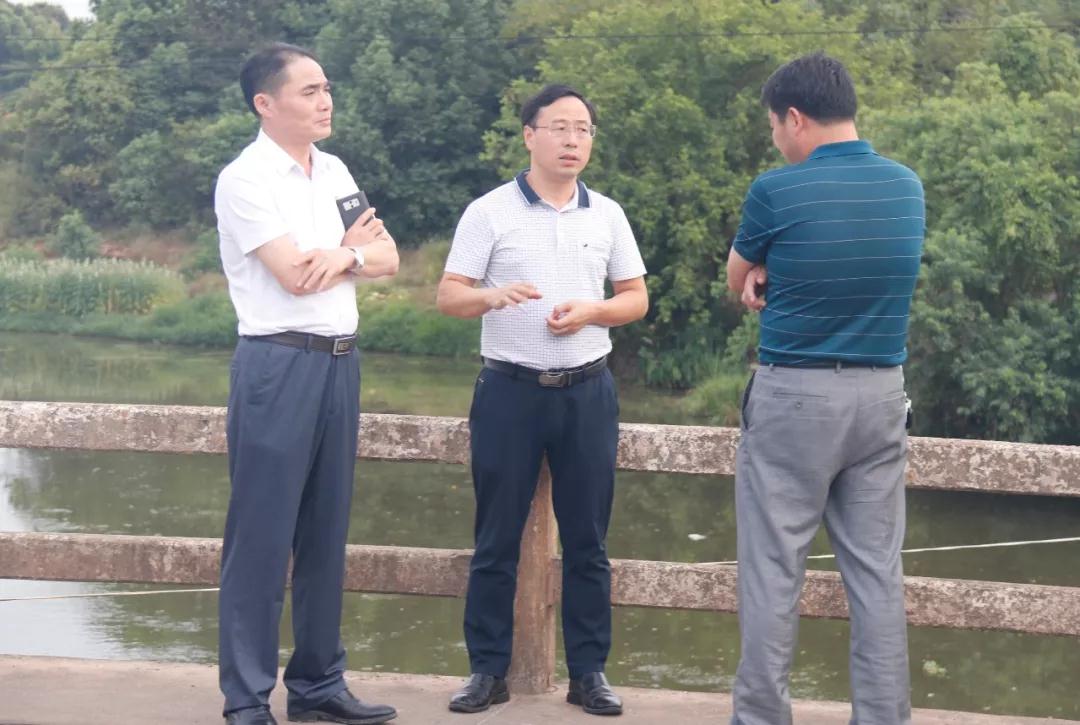 在志光镇古城村口塔桥河自来水厂取水口,张卫平实地察看了饮用水源取