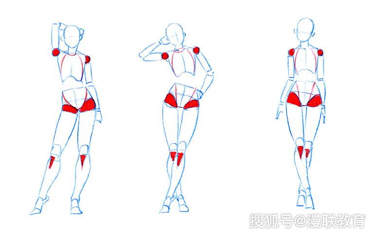 「教程」零基礎畫漫畫正面人體,專業漫畫培訓