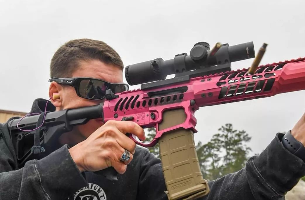 粉色枪械面若桃花艳若桃李