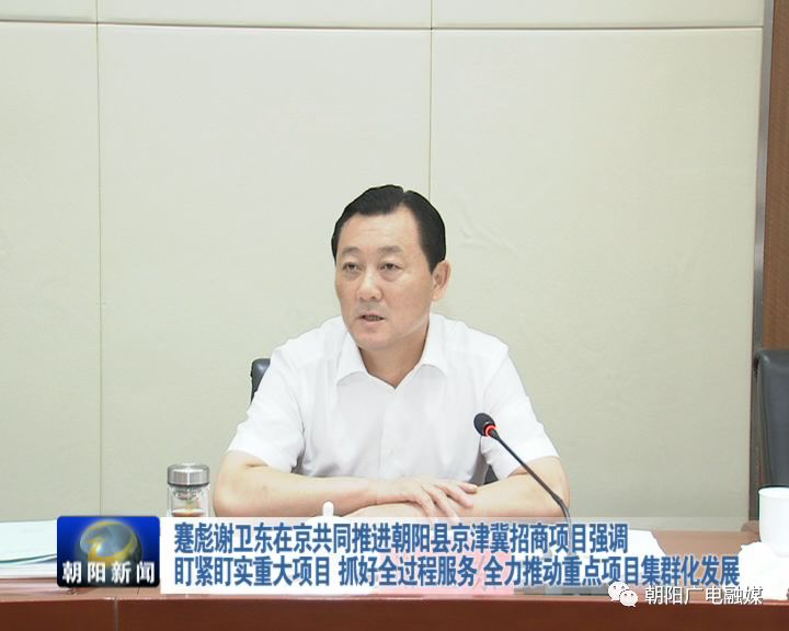 蹇彪谢卫东在京共同推进朝阳县京津冀招商重大产业项目实现新突破