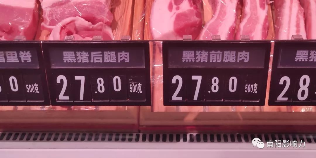 黑猪肉行情