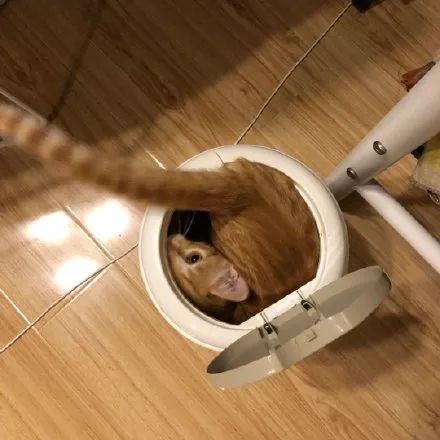 钻垃圾桶