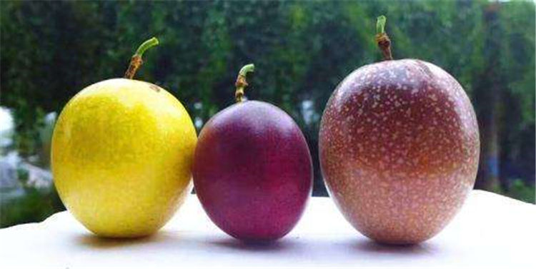原创这果子品种越来越多,产量不断增加,价格却不降反升