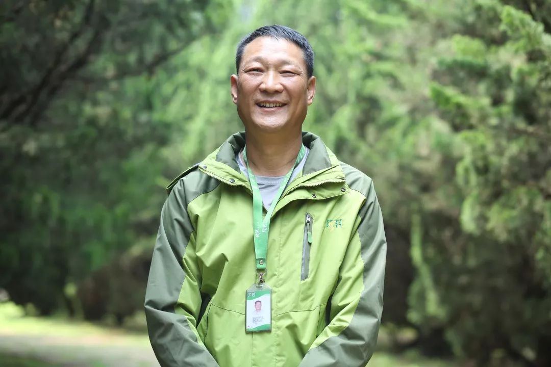 珍茗水手系列微电影四每日的奔波是为了孩子的这个心愿