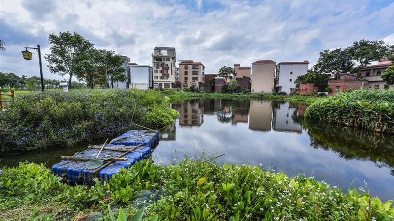 翰林湖畔好风光佛山这条古村颜值飙升相约百里芳华