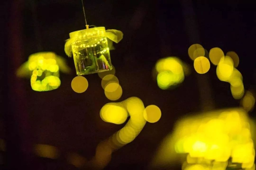 中秋六大主题体验从夕阳霞光,渔舟唱晚,河灯祈福到星星点灯,萤虫起舞