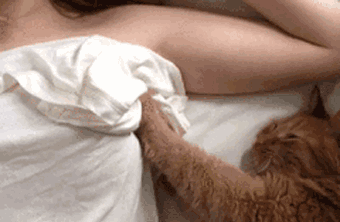 毕竟市面上充斥着太多打着丰胸提臀功效的激素产品,效果不持久还会对