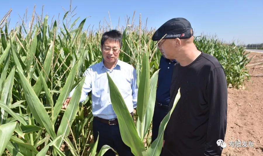 调研中,尹乃明来到寿阳县中墨农业合作交流示范园区,详细查看了园区内