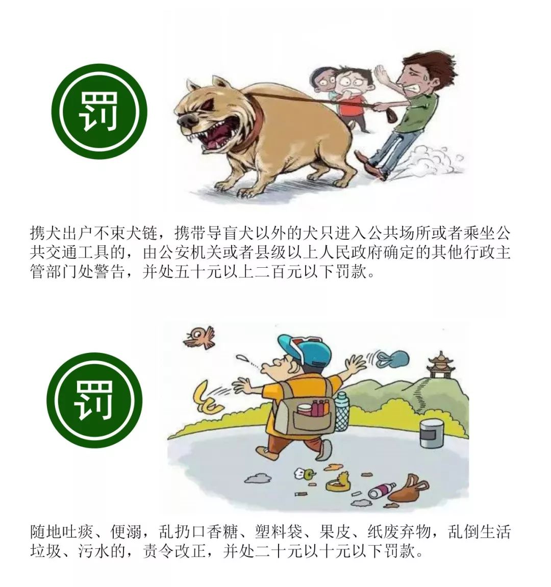 9月1日起遛狗不拴绳将被罚款附河北省文明行为促进条例全文
