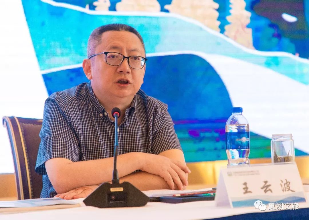 省文化和旅游厅副厅长王云波,巢湖市人民政府副市长李雪,省旅游协会