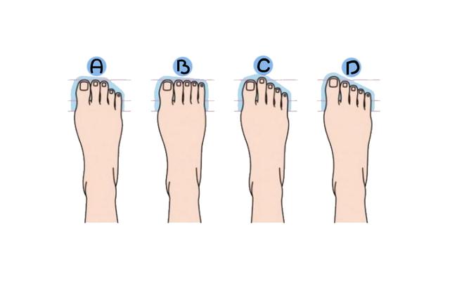 对照着选选看吧~那么你知道脚趾的长短和脚型,也代表着一类人的性格吗