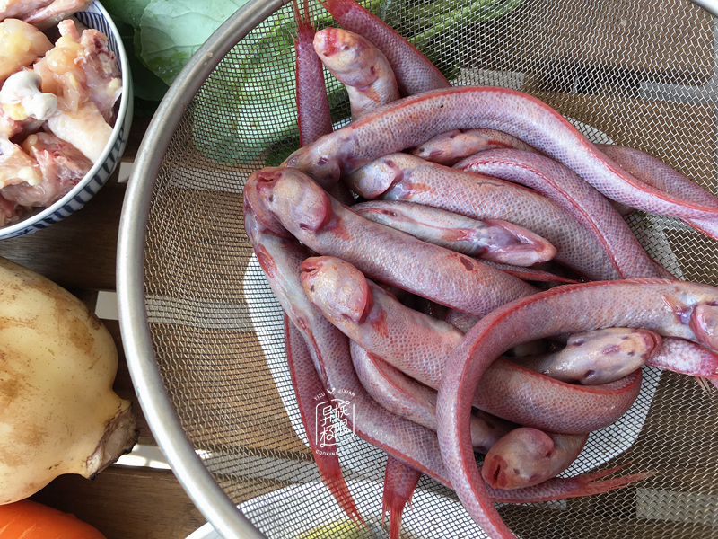 孔虾虎鱼治疗牛皮癣图片