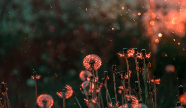 国美零售苏宁易购净利巨亏，家电实体店危险警报还未解除-家电圈官网