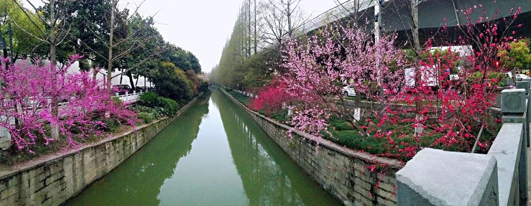 杭州的河梦回诗画中的中河