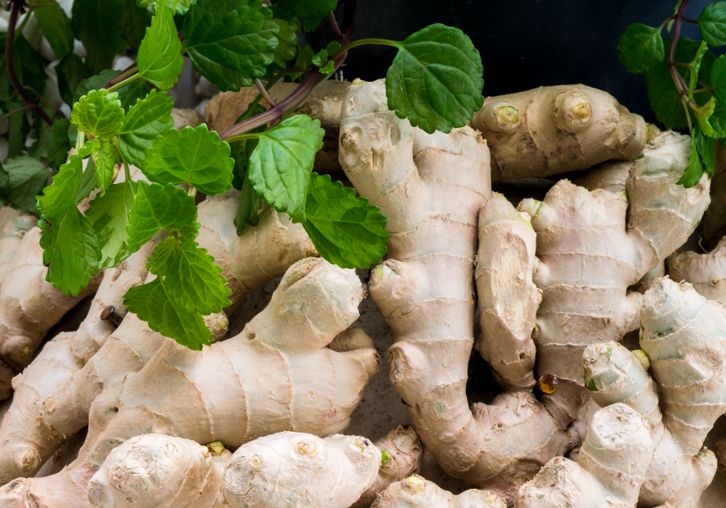 泡脚水里放一点,把体内湿气去得一干二净,肚子平了,腰也细了