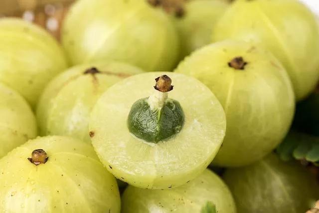 你的舌尖就会有一股清爽,甘甜的味道但是随着你慢慢的咀嚼它的果肉蔓