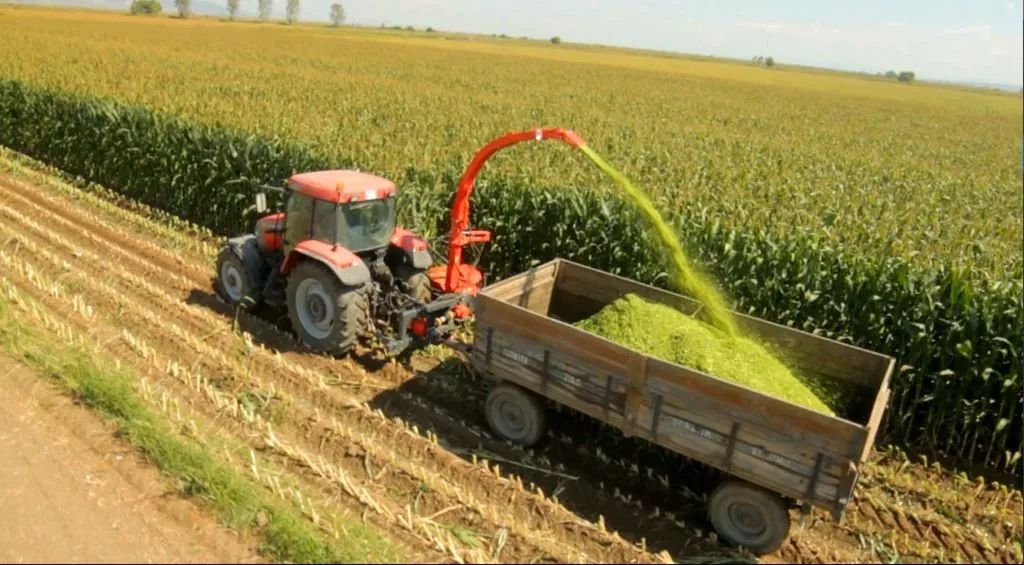 牧草青贮加工新技术