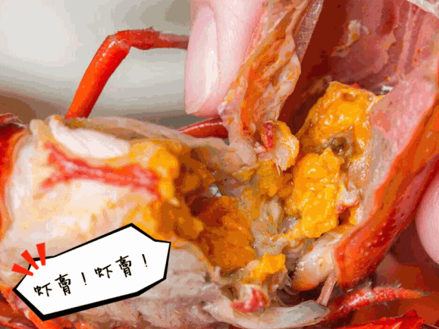 小龙虾虾头里黄黄的东西到底是啥?你绝对想不到