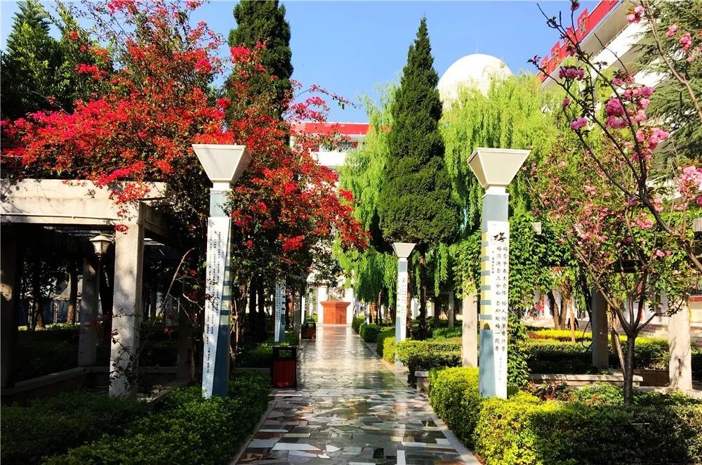 会东中学李艺我在远方想念您