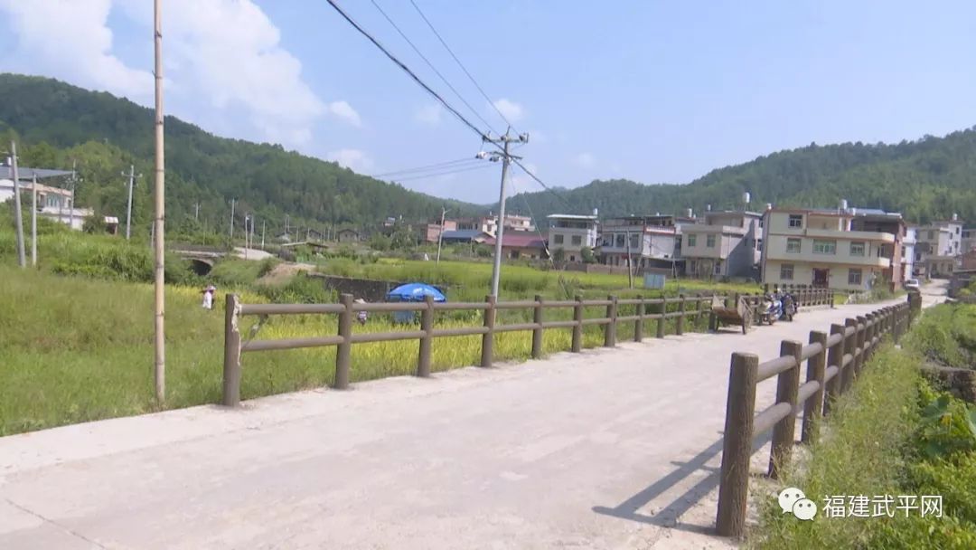 生态农业林下经济乡村旅游这里是不一样的武平县永平镇