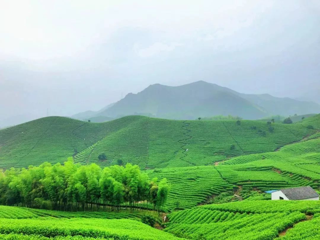 江门茶山风景区图片图片