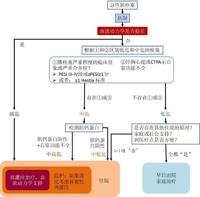 不仅是肺动脉,更关键的是右心功能:《2019 esc/ers急性肺栓塞诊断与