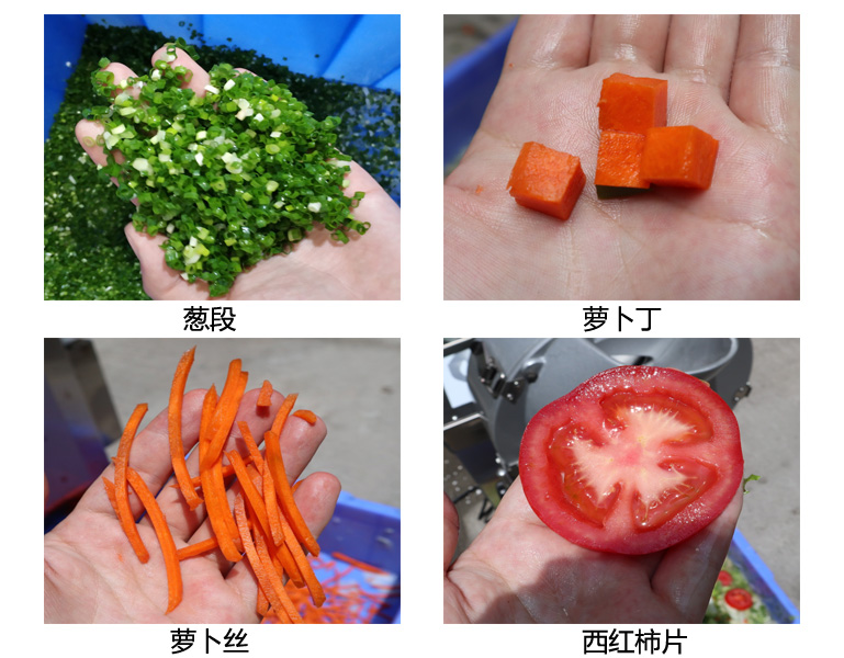 可拆卸式切丝切片切丁多功能切菜机-搜狐大视野-搜狐新闻