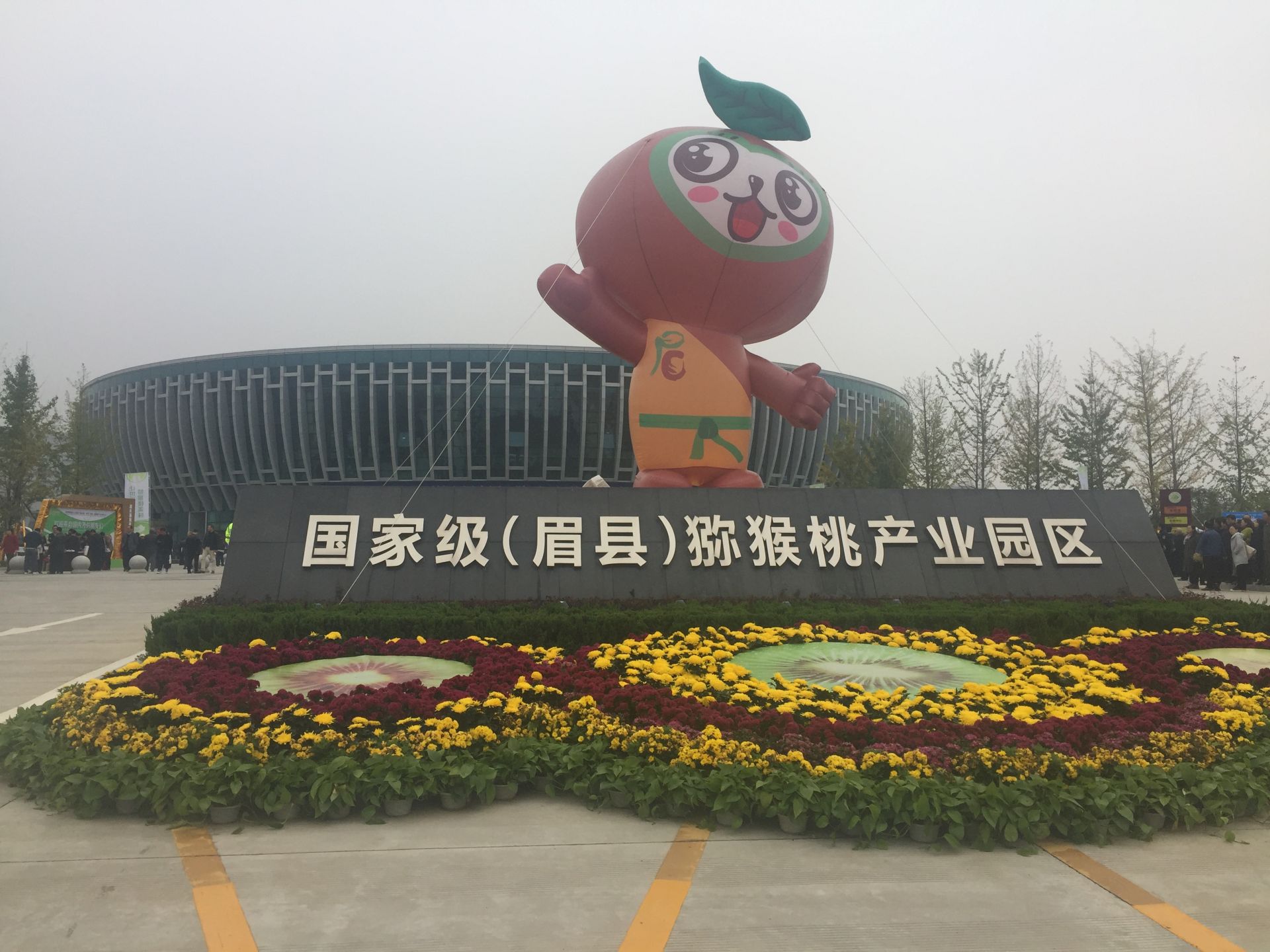 中国特产名录眉县猕猴桃