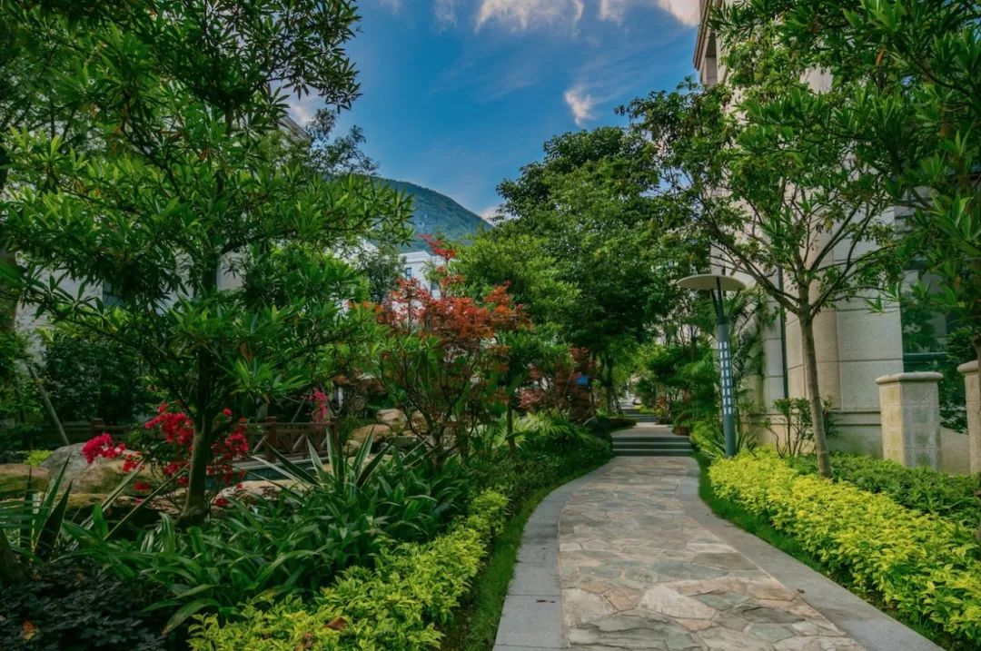 自面世以来,御园别墅就以独特的优势牢牢锁住了福清高端人居阶层的