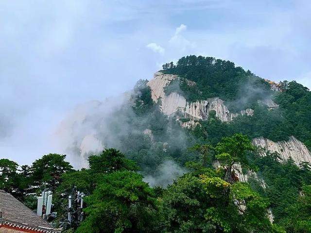 暑假征文挑战华山邂逅青岛