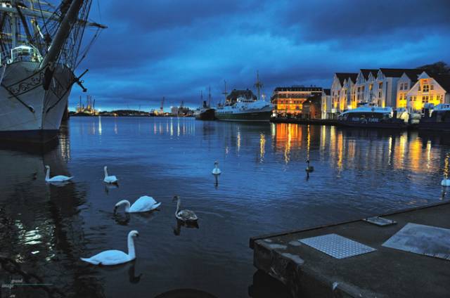 挪威世界上最好的冰与雪