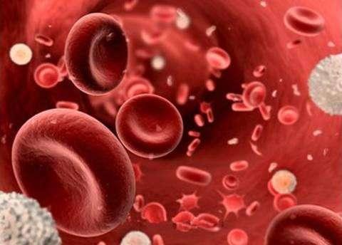 原创血液病包括哪些病出现这4类问题建议去血液科瞧瞧